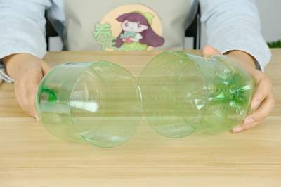 扦插繁殖的方法與容器封口技術圖解