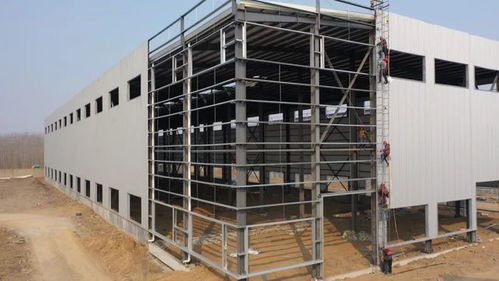 優質服務助推工業強鎮發展，招大引強積蓄新動能